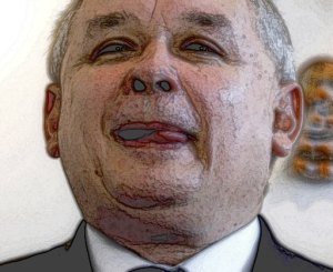 kaczor3