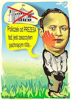 Policzek_pachn__cy_r______