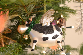 DSC_0152