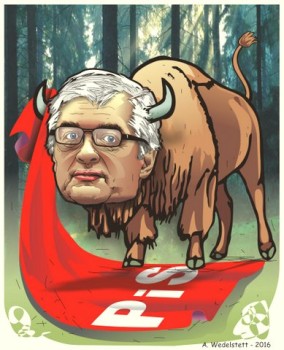 Żubr