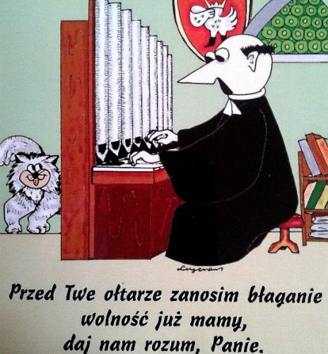 rozum11