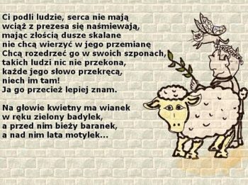 baranek3