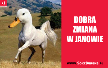 dobra zmiana