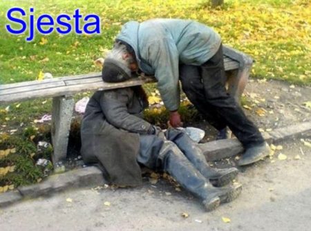 sjesta