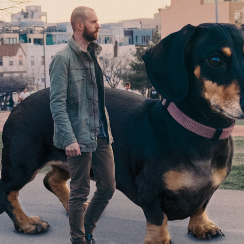 giant dog 1