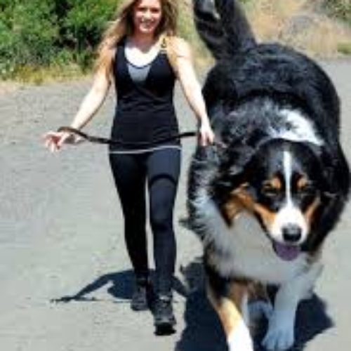 giant dog 2