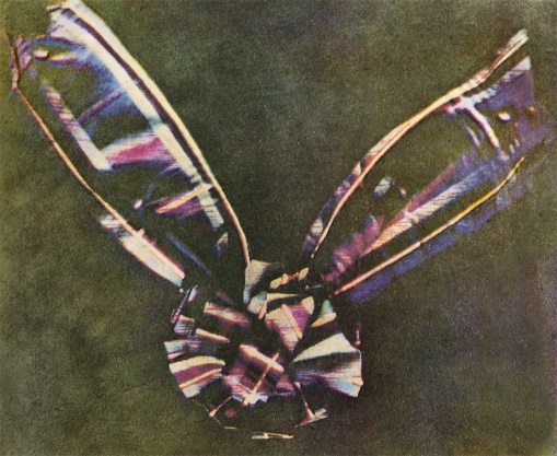 https://upload.wikimedia.org/wikipedia/commons/7/7f/Tartan_Ribbon.jpg