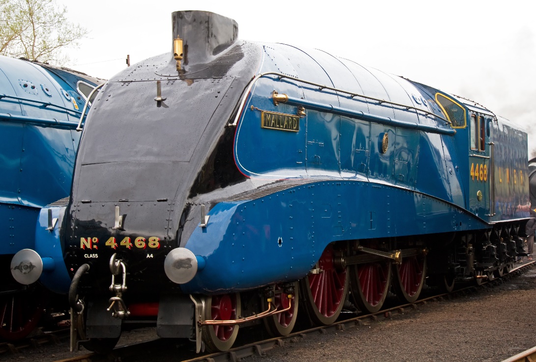 https://upload.wikimedia.org/wikipedia/commons/4/49/Mallard_4468%2C_Barrowhill%2C_13_April_2012_%283%29.jpg