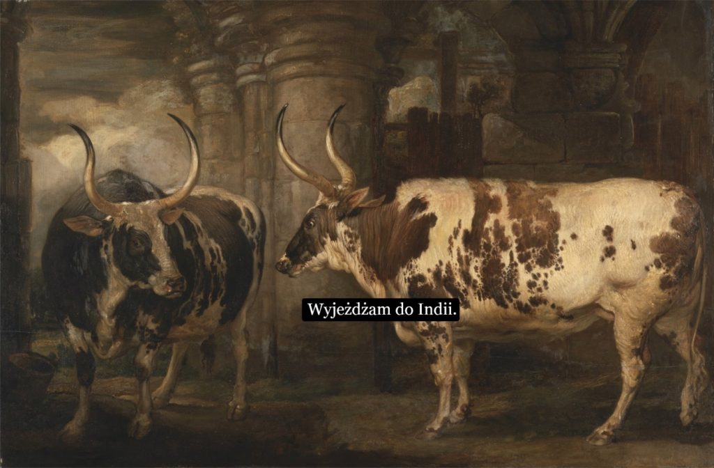 C:\Users\Piotr\Pictures\Saved Pictures\Indie wyjazd.jpg