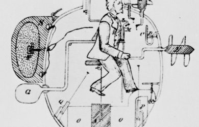 https://upload.wikimedia.org/wikipedia/commons/3/3d/Turtle_sketch_1885.jpg