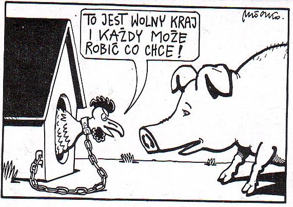 C:\Users\Piotr\Pictures\Saved Pictures\mleczko 3.jpg