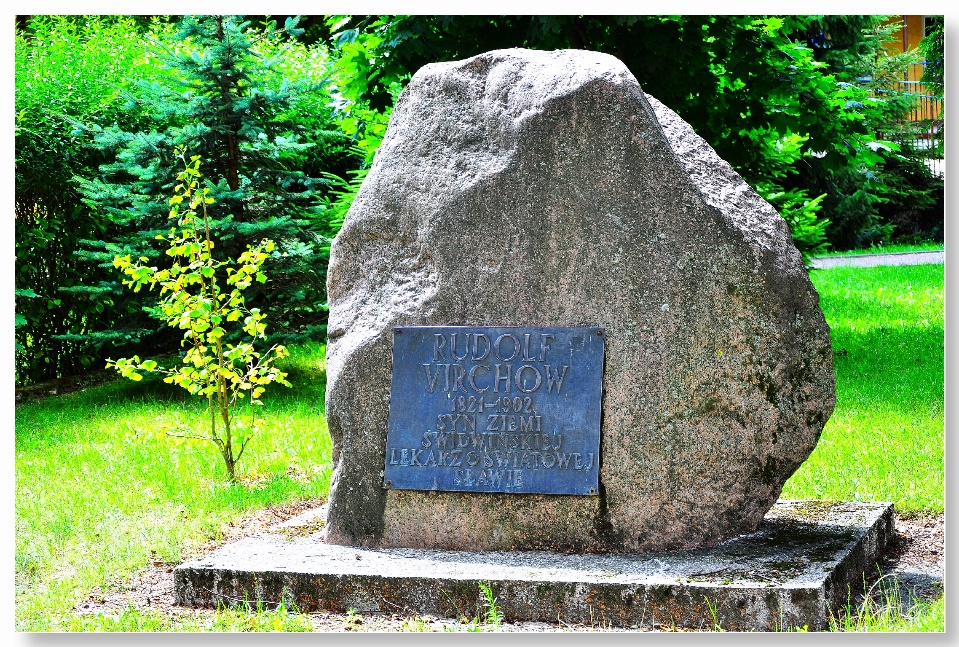 https://upload.wikimedia.org/wikipedia/commons/6/6c/Erinnerungsstein_und_Denkmal_f%C3%BCr_den_Arzt_Rudolf_Virchow_in_78-300_Swidwin_%28Schivelbein%29.jpg