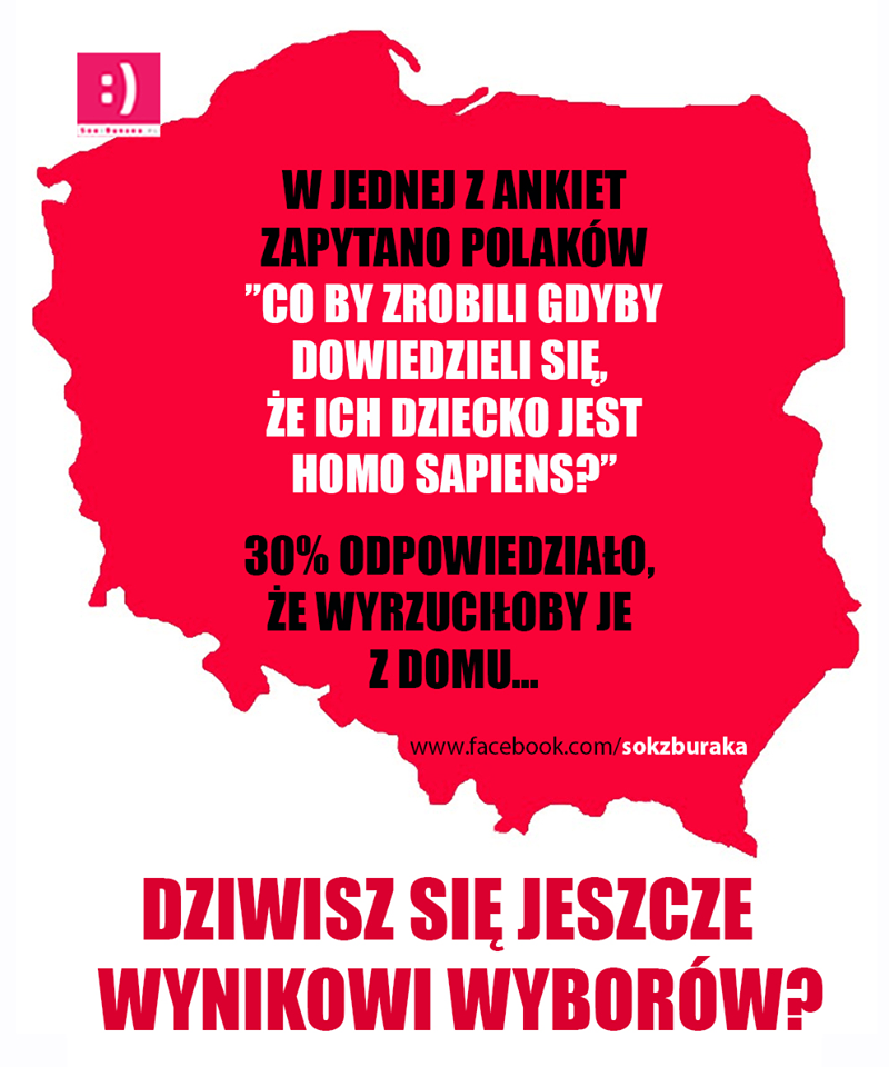 C:\Users\Piotr\Pictures\Saved Pictures\ankieta.png
