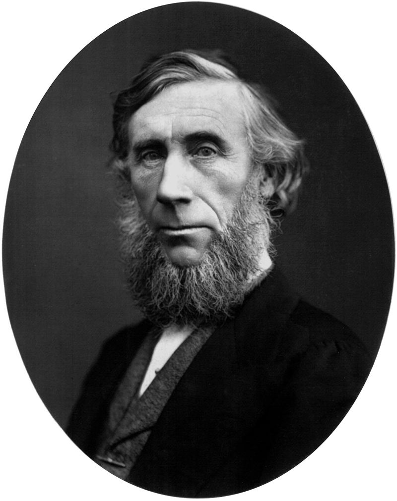 https://upload.wikimedia.org/wikipedia/commons/thumb/4/46/John_Tyndall_%28scientist%29.jpg/800px-John_Tyndall_%28scientist%29.jpg