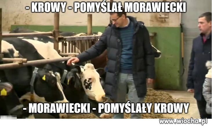 C:\Users\Piotr\Pictures\Saved Pictures\Morawiecki a.jpg