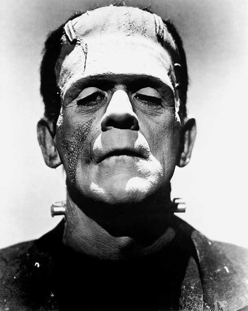 https://upload.wikimedia.org/wikipedia/commons/thumb/a/a7/Frankenstein%27s_monster_%28Boris_Karloff%29.jpg/800px-Frankenstein%27s_monster_%28Boris_Karloff%29.jpg
