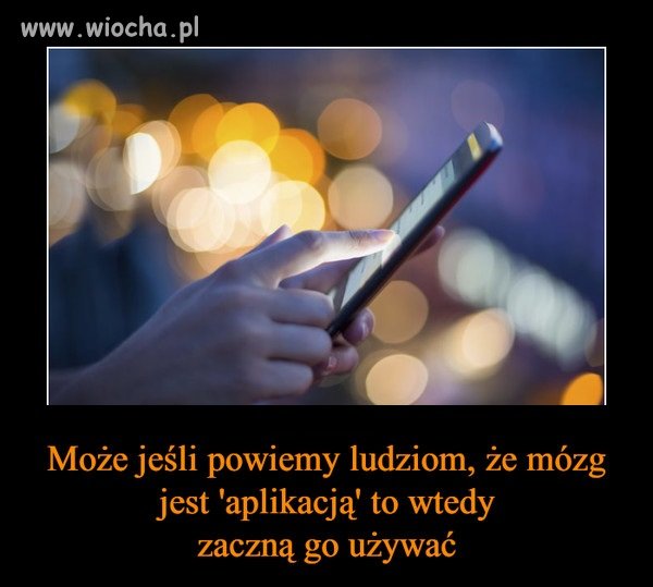 C:\Users\Piotr\Pictures\Saved Pictures\mózg.jpg