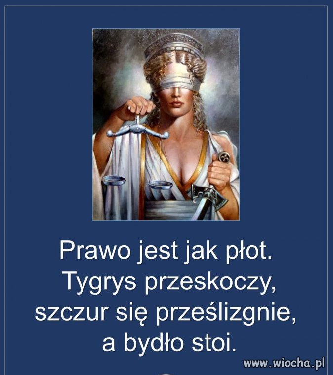 C:\Users\Piotr\Pictures\Saved Pictures\prawo 1.jpg