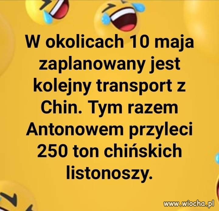 Obstawa listonoszy na wybory