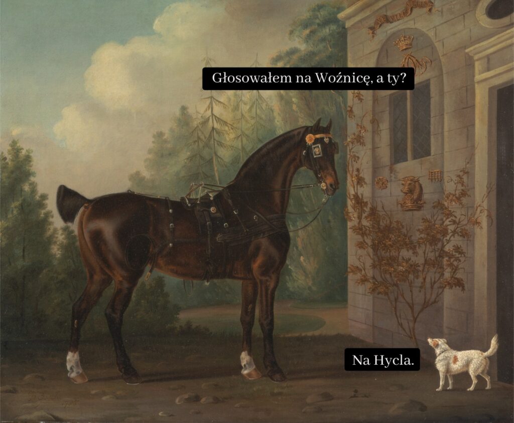 Brak dostępnego opisu zdjęcia.