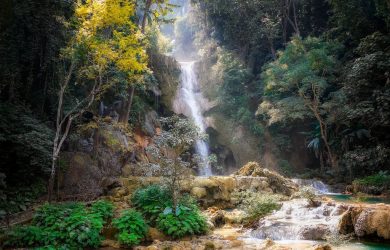 waterfalls and trees