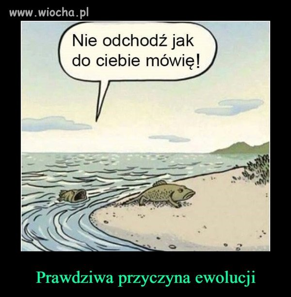 C:\Users\Piotr\Pictures\W ykorzystane memy\649 b, 672 b.jpg