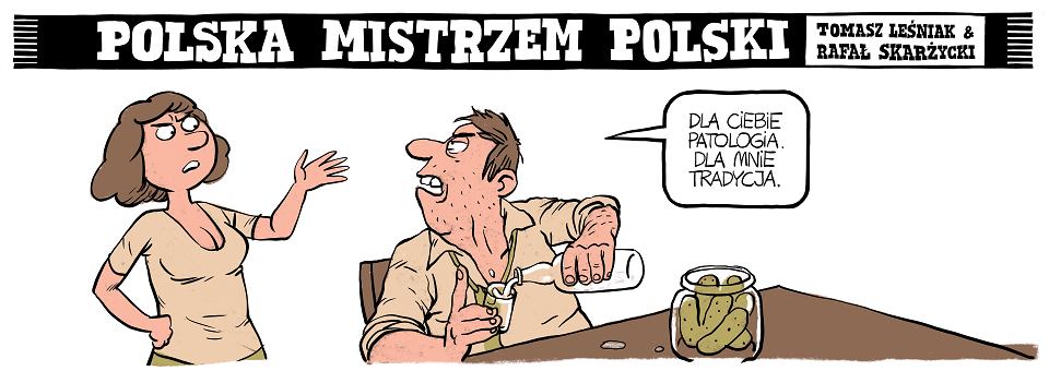Zdjęcie numer 0 w galerii - Polska mistrzem Polski 
