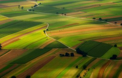 Kolorowy trawa na wzgórzaie