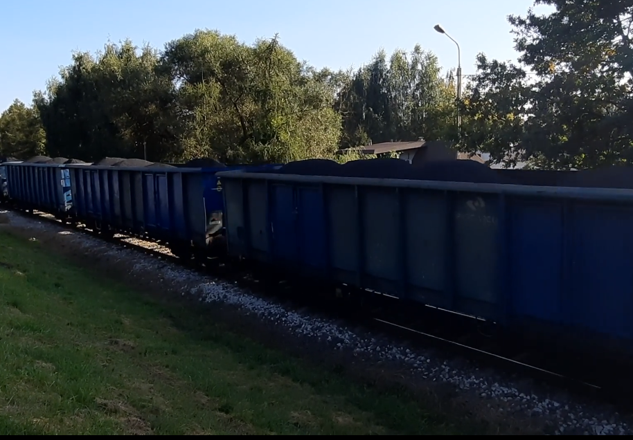 Obraz zawierający drzewo, trawa, niebo, zewnętrzneOpis wygenerowany automatycznie