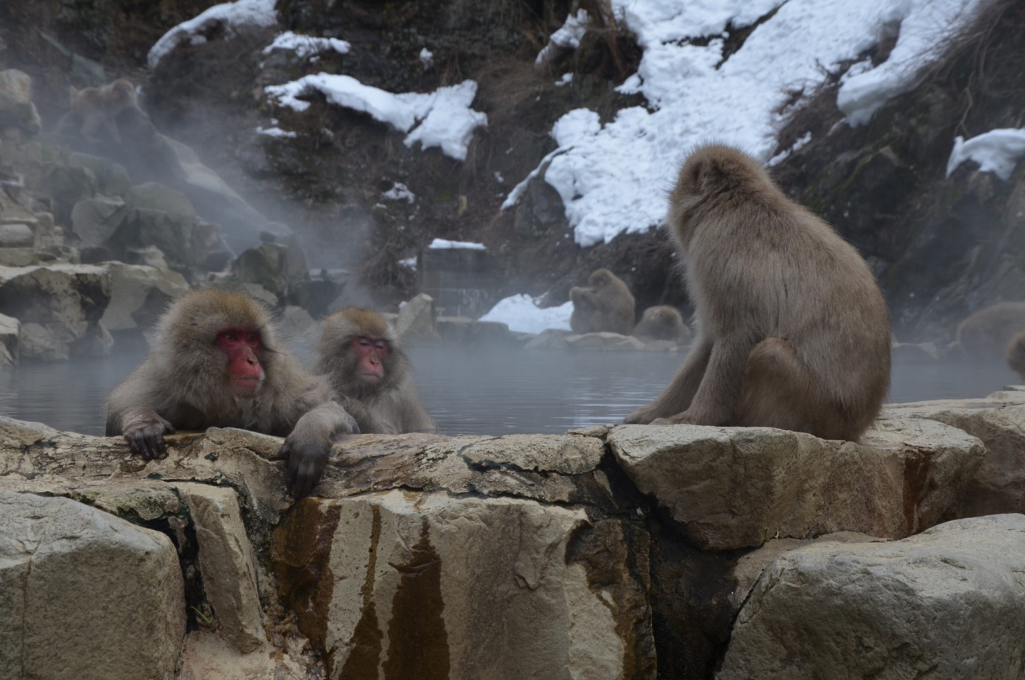 C:\Users\Piotr\Pictures\Obrazy\Saved Pictures — kopia\712 a.jpg