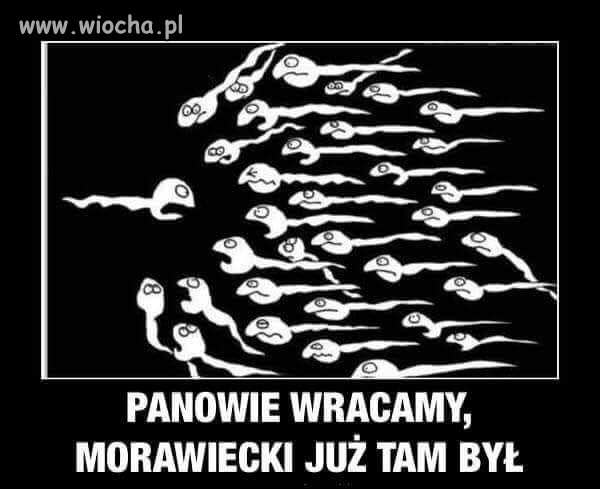 C:\Users\Piotr\Pictures\Obrazy\Saved Pictures — kopia\723 b.jpg