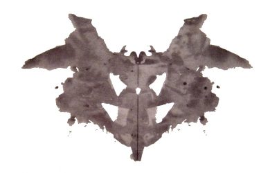 Obraz zawierający owad Opis wygenerowany automatycznie