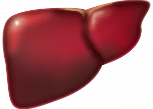 Bogdan Miś: Upusty żółci (czerwiec 2023)