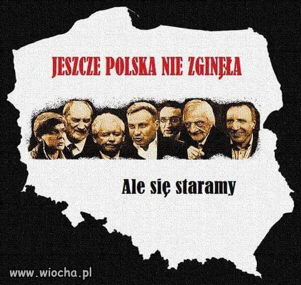 C:\Users\Piotr\Pictures\Obrazy\Saved Pictures — kopia\727 b.jpg