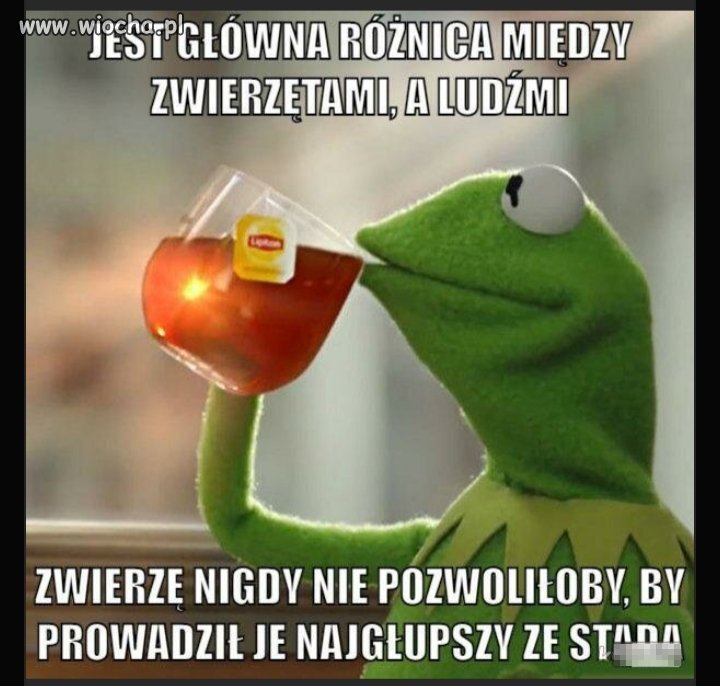 C:\Users\Piotr\Pictures\Obrazy\Saved Pictures — kopia\polityka 1.jpg