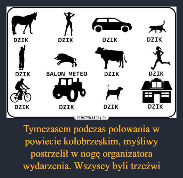 C:\Users\Piotr\Pictures\Obrazy\Saved Pictures — kopia\761 c.jpg