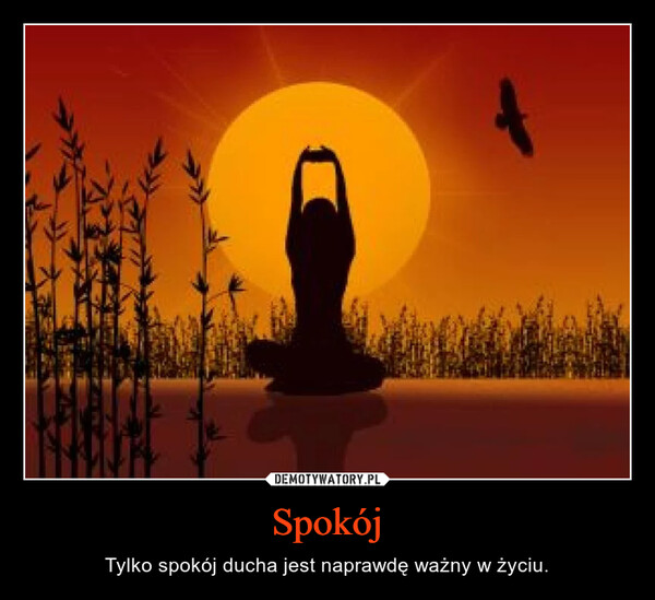 C:\Users\Piotr\Pictures\Obrazy\Saved Pictures — kopia\762 a.jpg