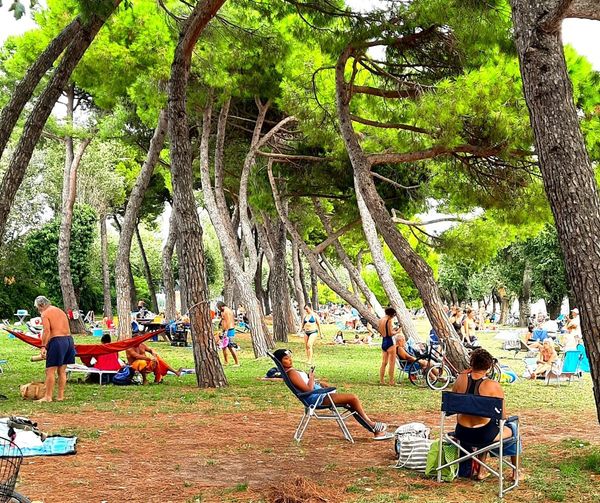 C:\Users\Walter\Desktop\Jacek 1.jpg