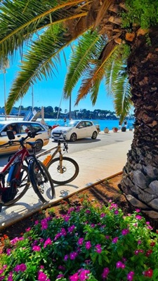 C:\Users\Walter\Desktop\Jacek 1.jpg