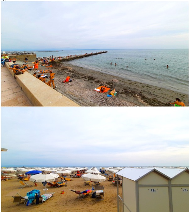 C:\Users\Walter\Desktop\Jacek 2.jpg