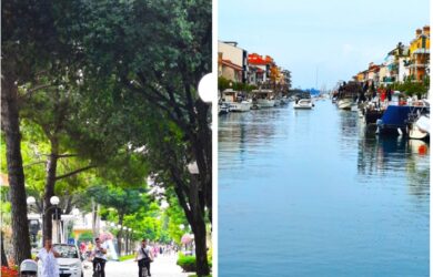 C:\Users\Walter\Desktop\Jacek 3.jpg