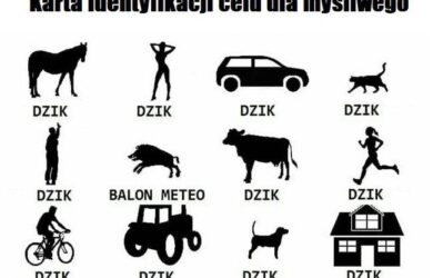 Dziki i myśliwi - zobacz najlepsze memy i demotywatory | Głos Wielkopolski